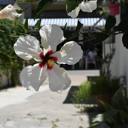Guest house Costa De La Luz 2*