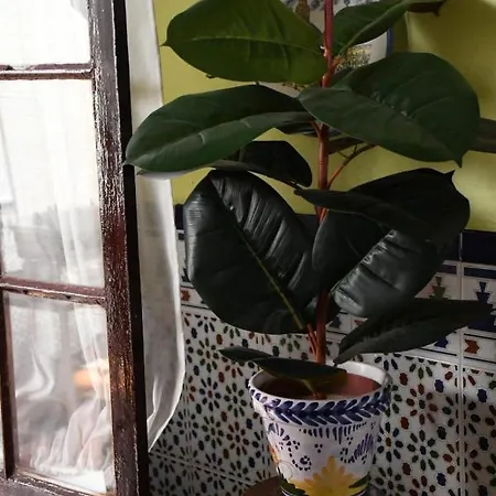 Casa de hóspedes Costa De La Luz Chipiona